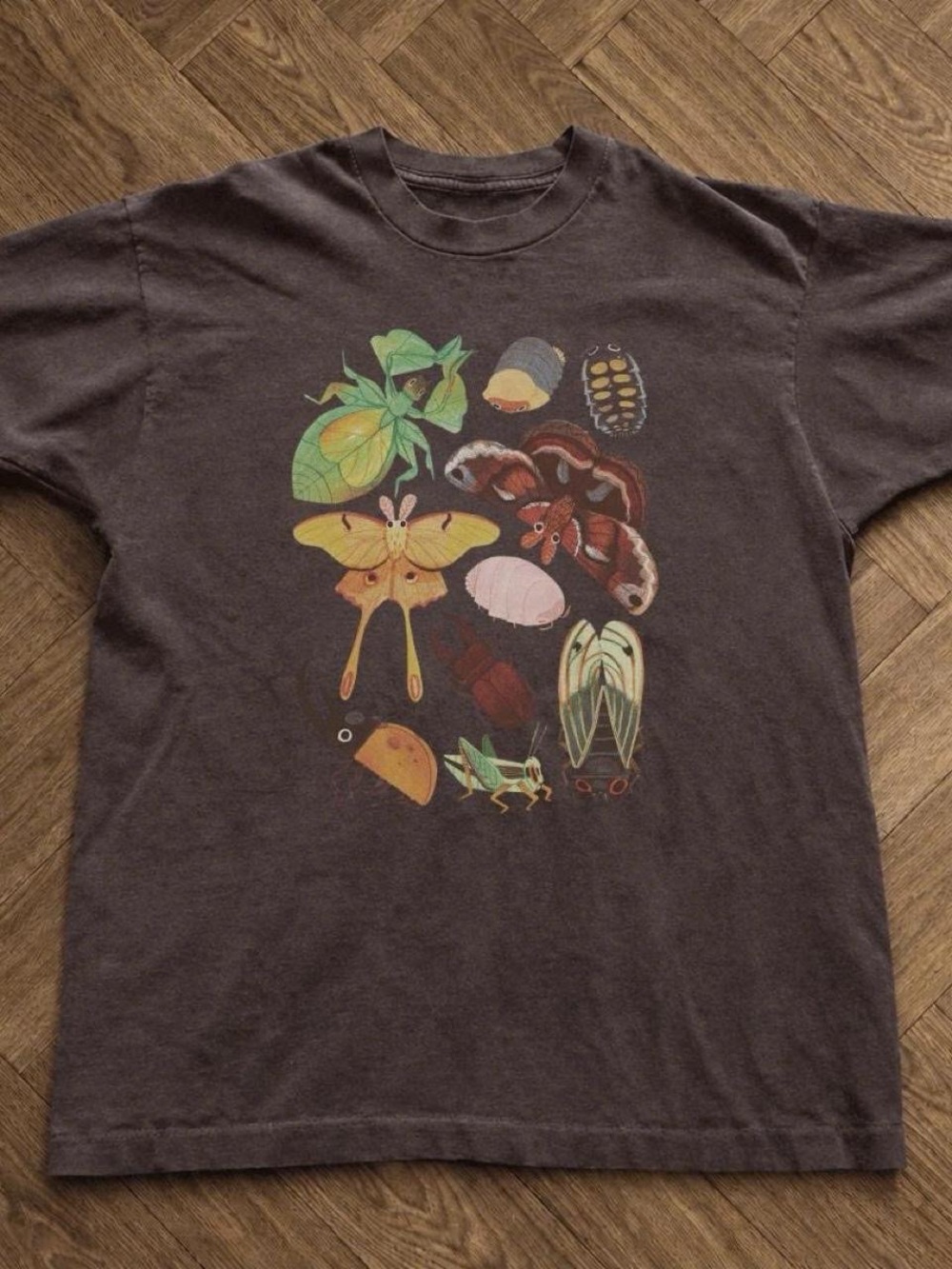 Gildan Brown Graphic Tee with Colorful Insect & Moth Prints